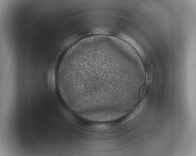 X0000102310349200808081612