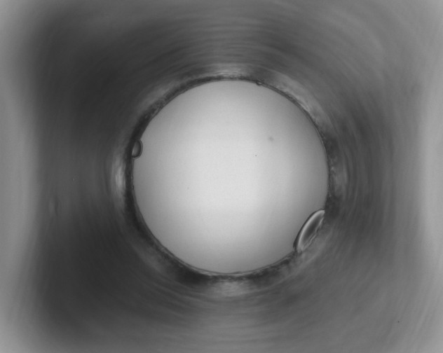 X0000102310350200808081612