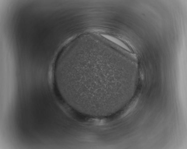 X0000102310352200808081612