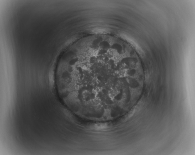 X0000102310353200808081612