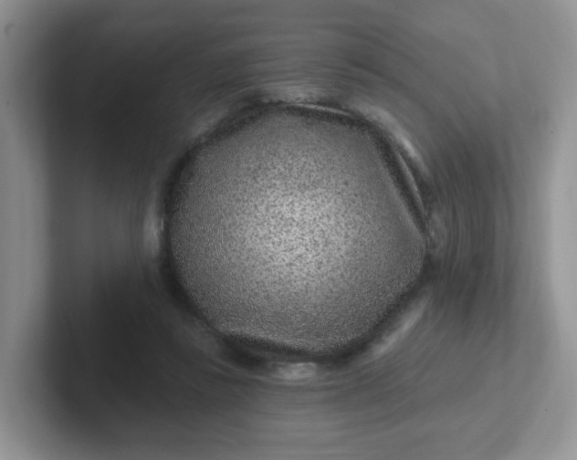 X0000102310355200808081612