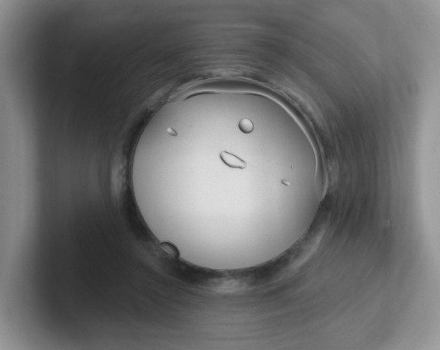 X0000102310356200808081612