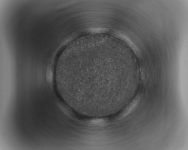 X0000102310357200808081612