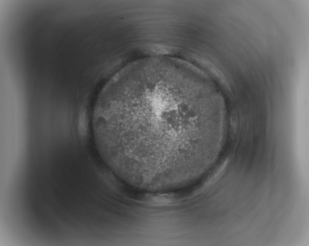 X0000102310359200808081612