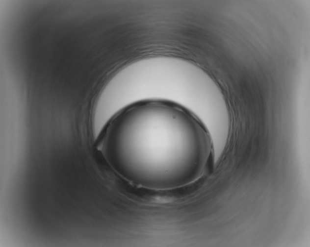 X0000102310360200808081612