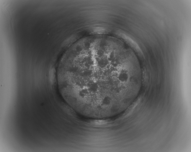 X0000102310361200808081612