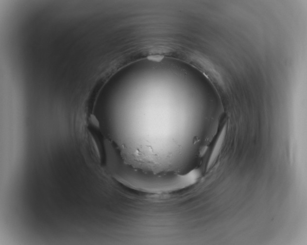 X0000102310362200808081612