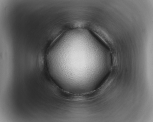 X0000102310363200808081612
