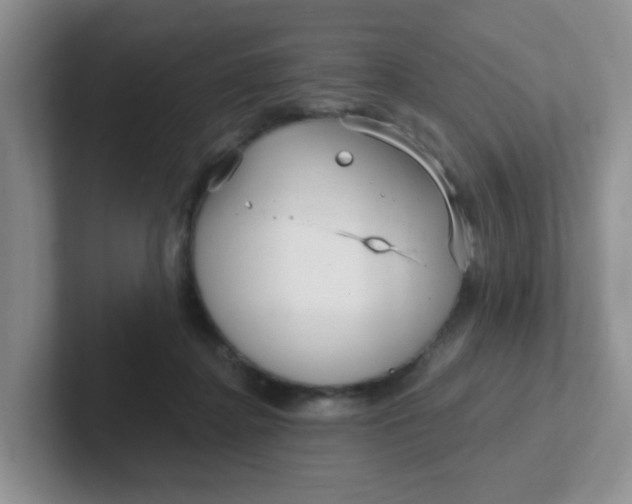 X0000102310364200808081612