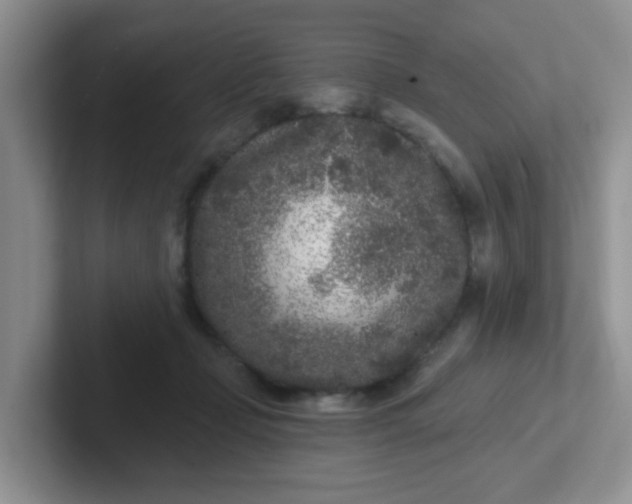 X0000102310365200808081612