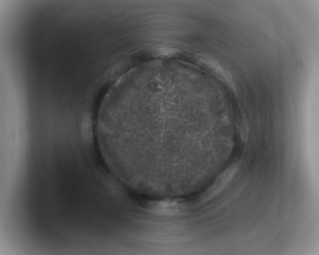 X0000102310366200808081612