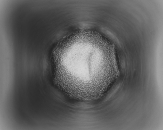 X0000102310367200808081612
