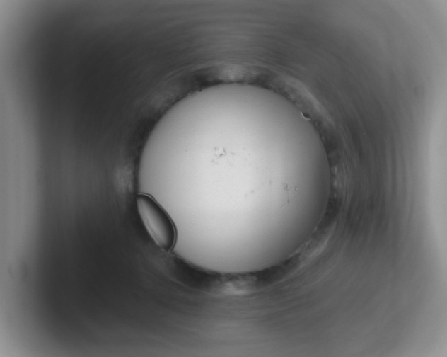 X0000102310368200808081612
