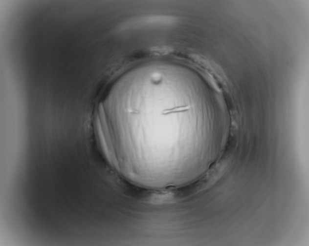 X0000102310369200808081612