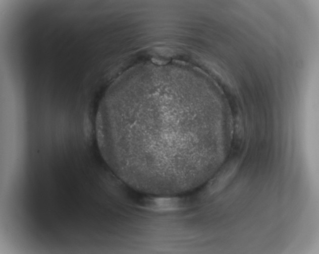 X0000102310371200808081612