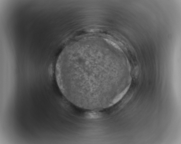 X0000102310372200808081612