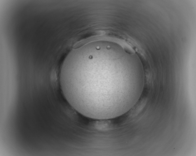 X0000102310373200808081612