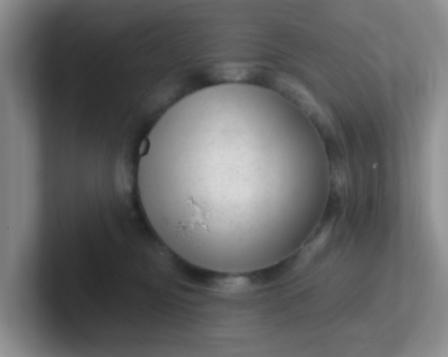 X0000102310374200808081612