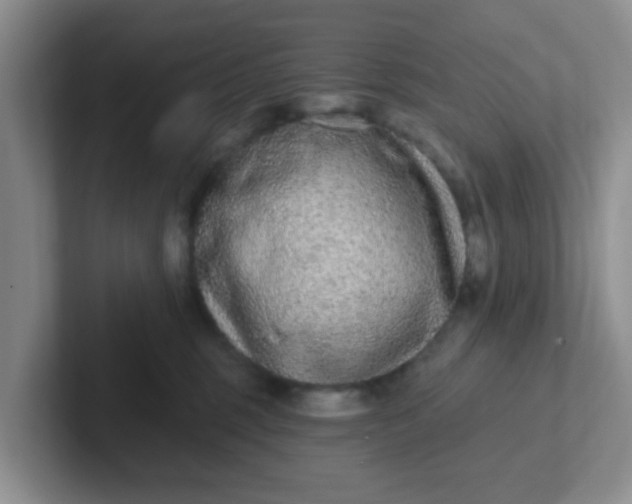 X0000102310375200808081612