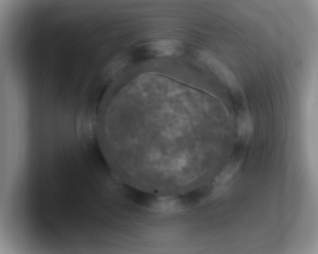 X0000102310376200808081612