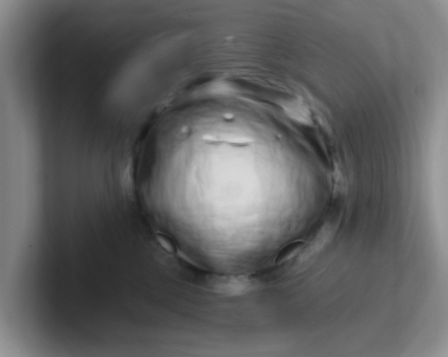 X0000102310377200808081612