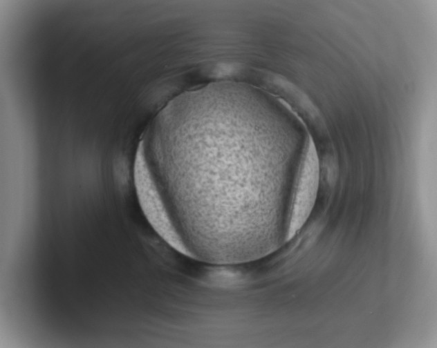X0000102310380200808081612