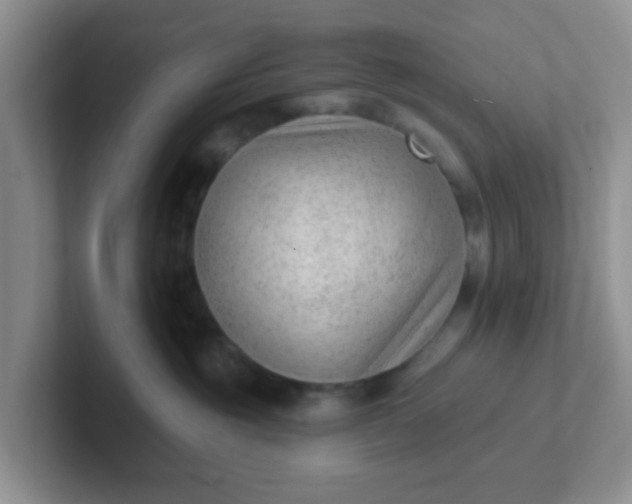 X0000102310381200808081612