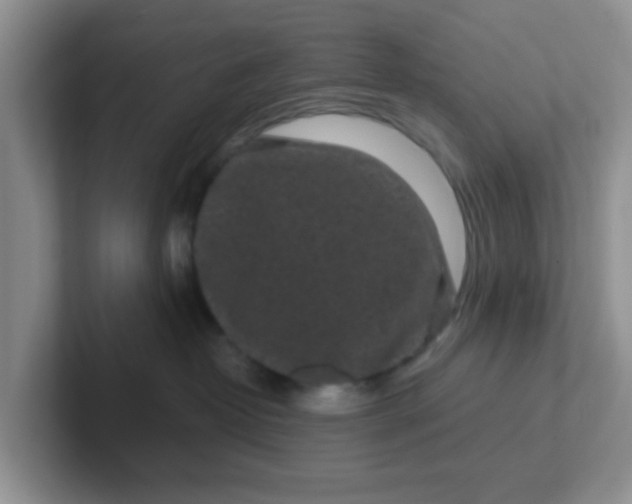 X0000102310382200808081612