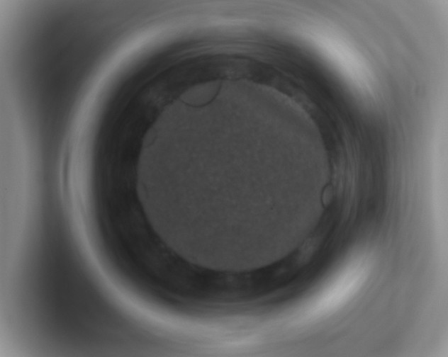 X0000102310383200808081612