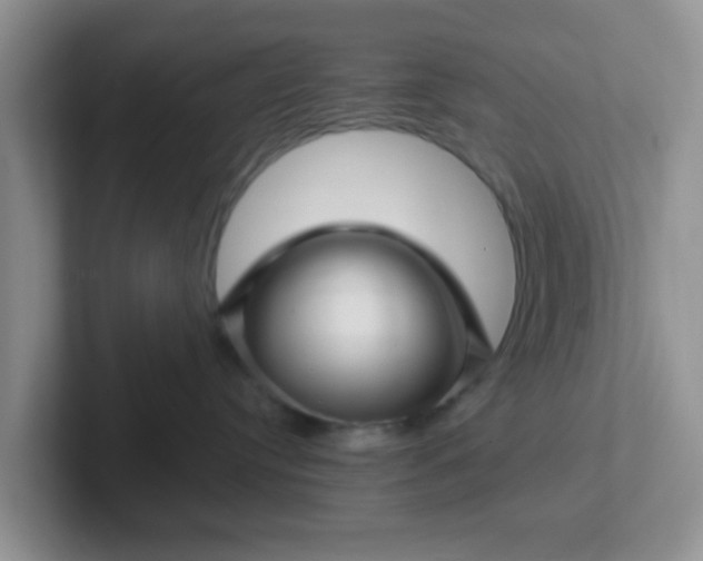 X0000102310384200808081612