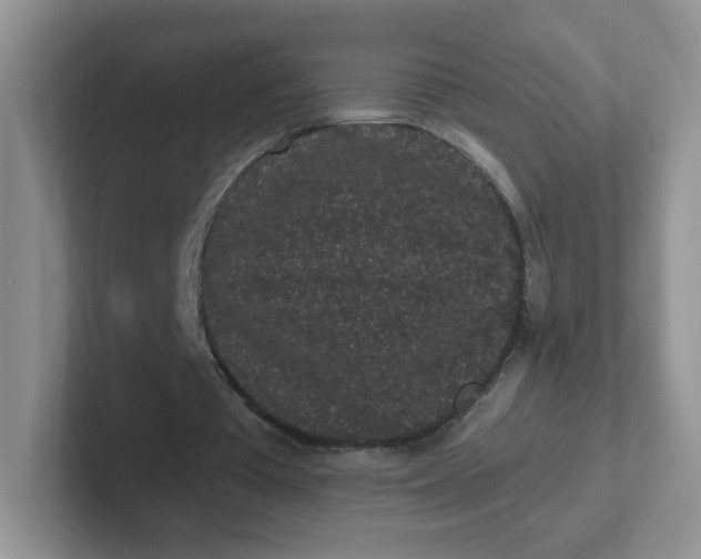 X0000102310385200808081611