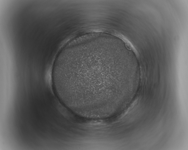 X0000102310386200808081611