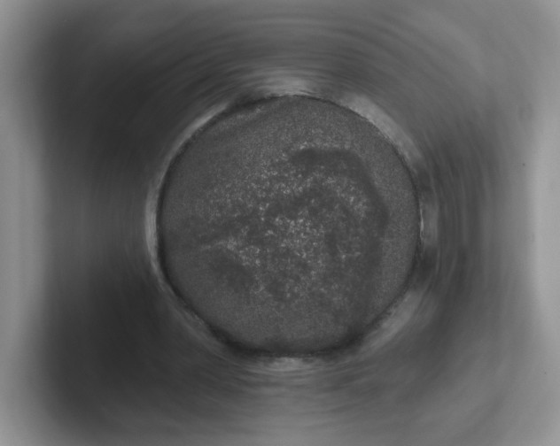 X0000102310390200808081611