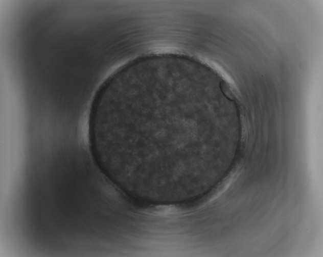 X0000102310391200808081611