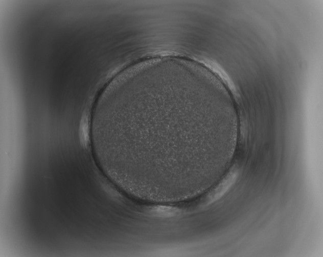 X0000102310393200808081611