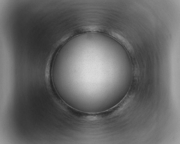 X0000102310394200808081611