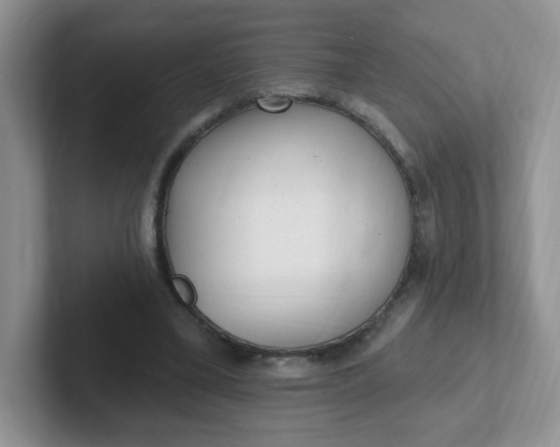 X0000102310395200808081611