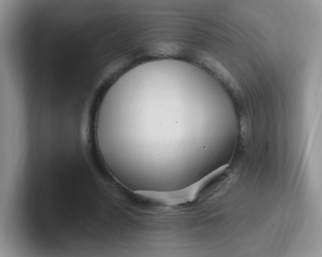 X0000102310396200808081611