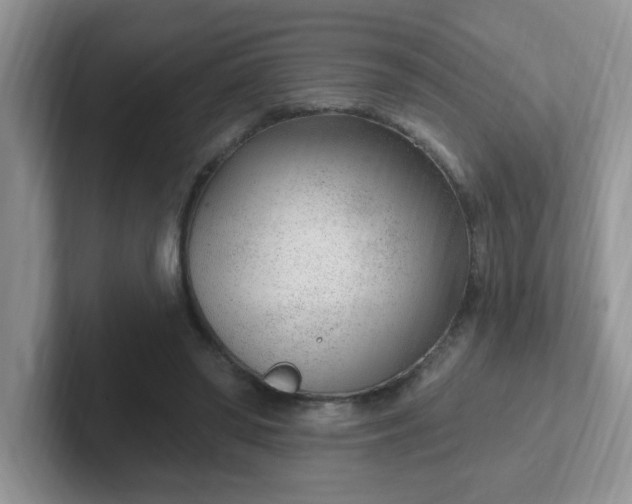 X0000102310398200808081611