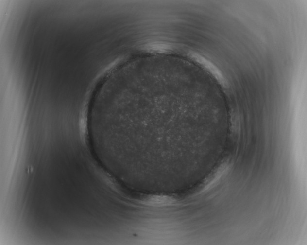 X0000102310399200808081611