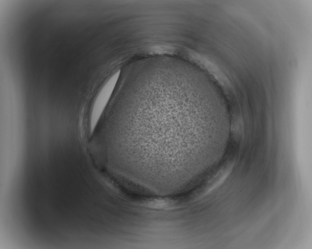 X0000102310402200808081611