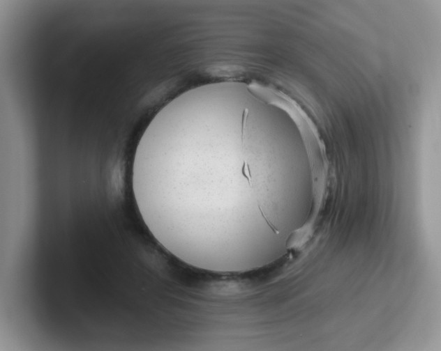 X0000102310404200808081611