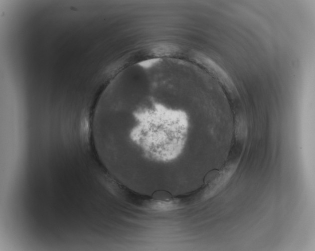 X0000102310405200808081611