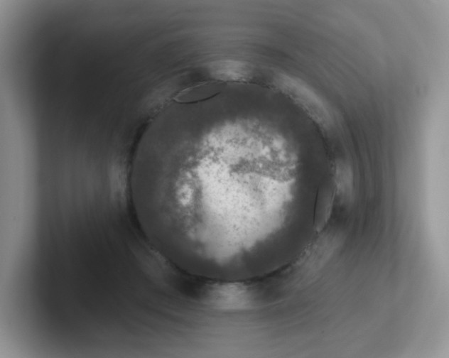 X0000102310409200808081611