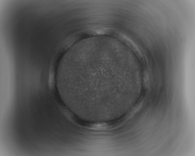 X0000102310410200808081611