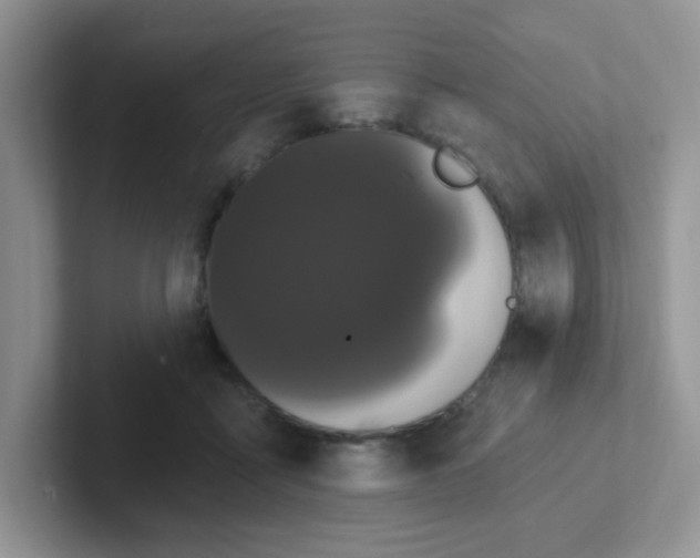 X0000102310411200808081611