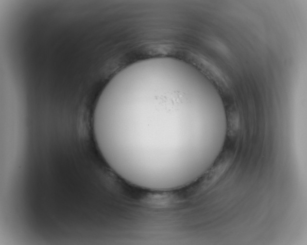 X0000102310414200808081611