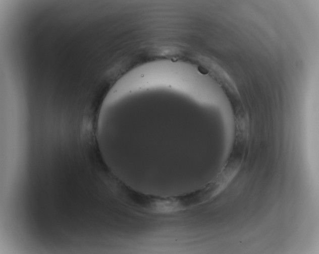 X0000102310415200808081611