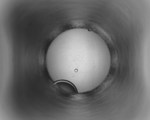 X0000102310417200808081611