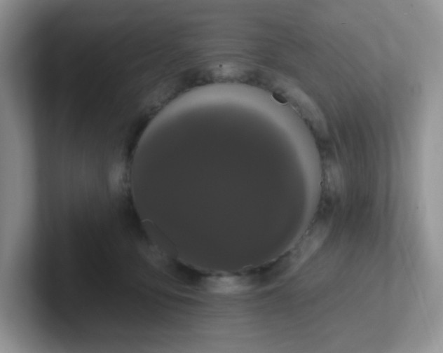 X0000102310419200808081611